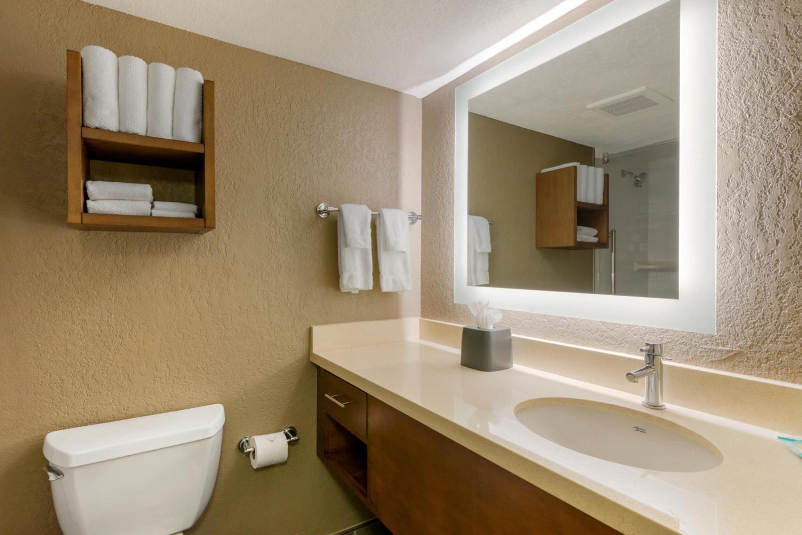 Staybridge Suites - Orlando Royale Parc Suites