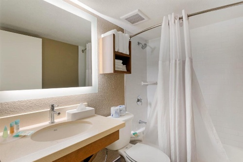 Staybridge Suites - Orlando Royale Parc Suites image 30