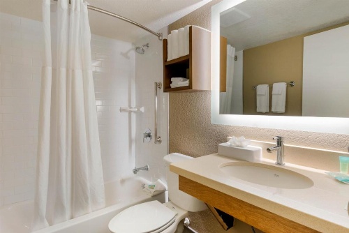Staybridge Suites - Orlando Royale Parc Suites image 31