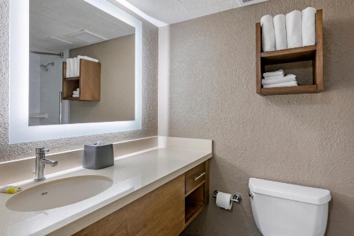 Staybridge Suites - Orlando Royale Parc Suites image 46